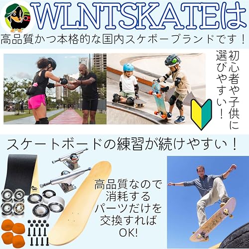 Amazon.co.jp: WALNUT SKATE: COMPLETE(完成品)